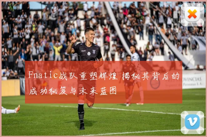 Fnatic战队重塑辉煌 揭秘其背后的成功秘笈与未来蓝图