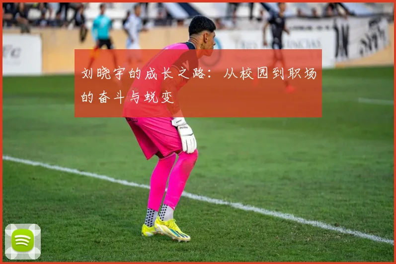 刘晓宇的成长之路：从校园到职场的奋斗与蜕变
