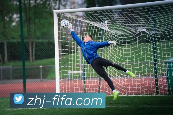 世界杯FIFA发展历程